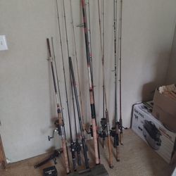 Fishing Rod & Reels 