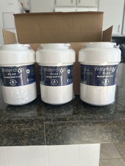Refrigerator Water Filters
