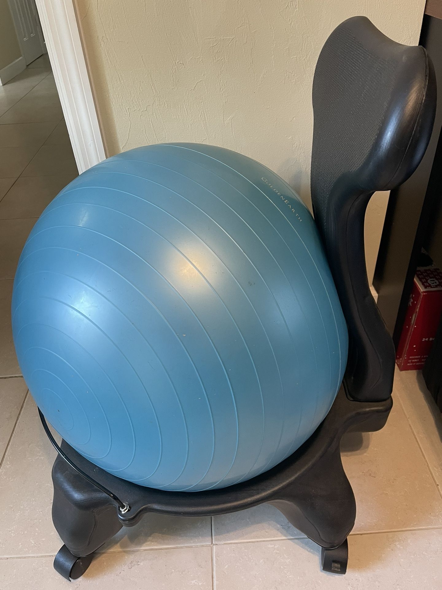 Excercise Ball Chair for Office