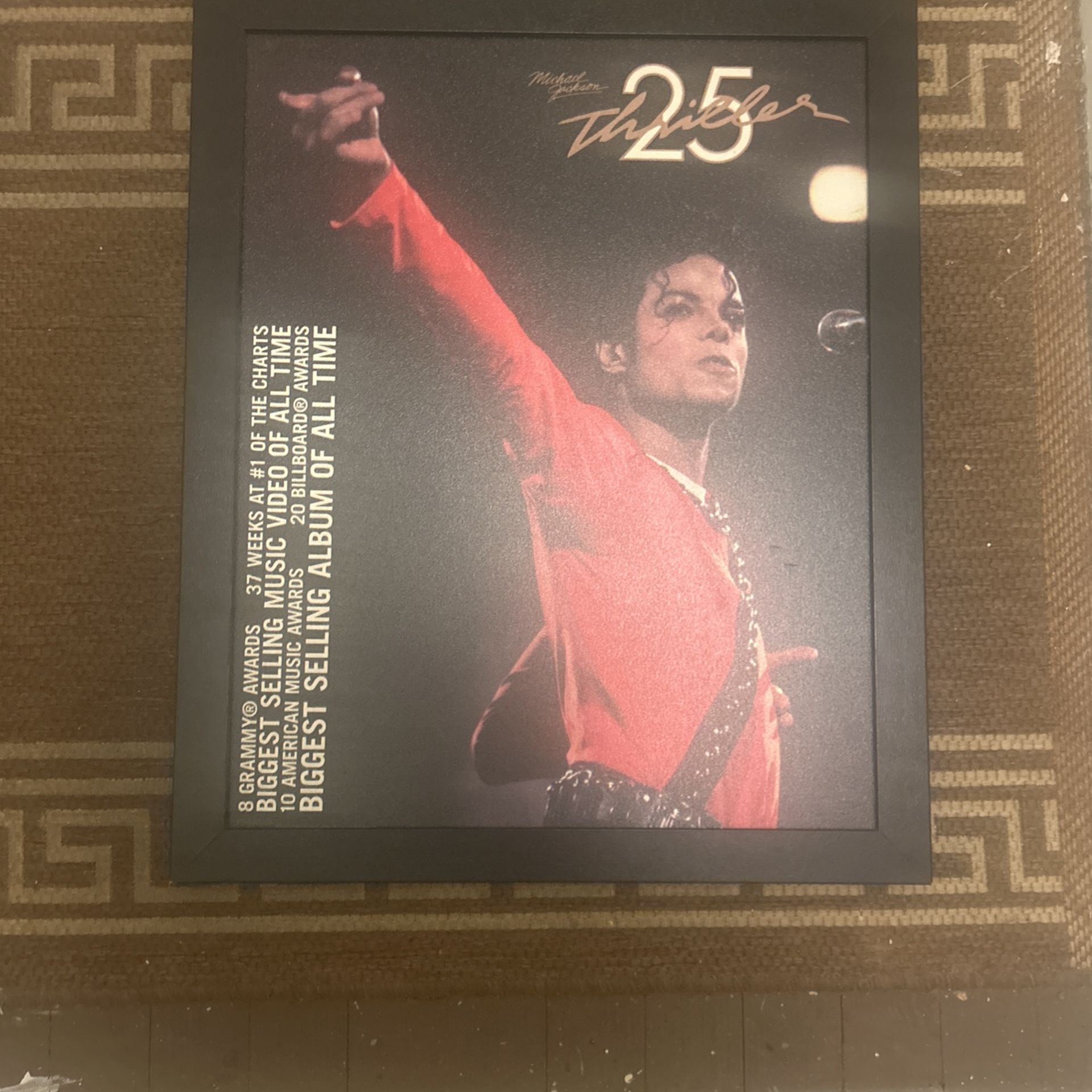 Michael Jackson Framed Picture 