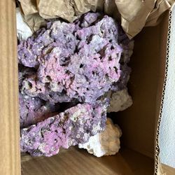 Free Reef Rock For Aquascape