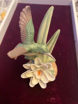 Royal Heritage Flight To Spring The Hummingbird’s Odyssey