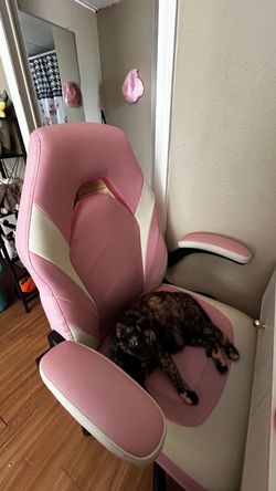 Pink Gaming Chair