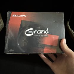 SEALIGHT H8/H9/H11 9005/HB3 Headlight Bulb