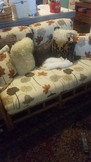 New And Used Loveseat For Sale In Daytona Beach Fl Offerup