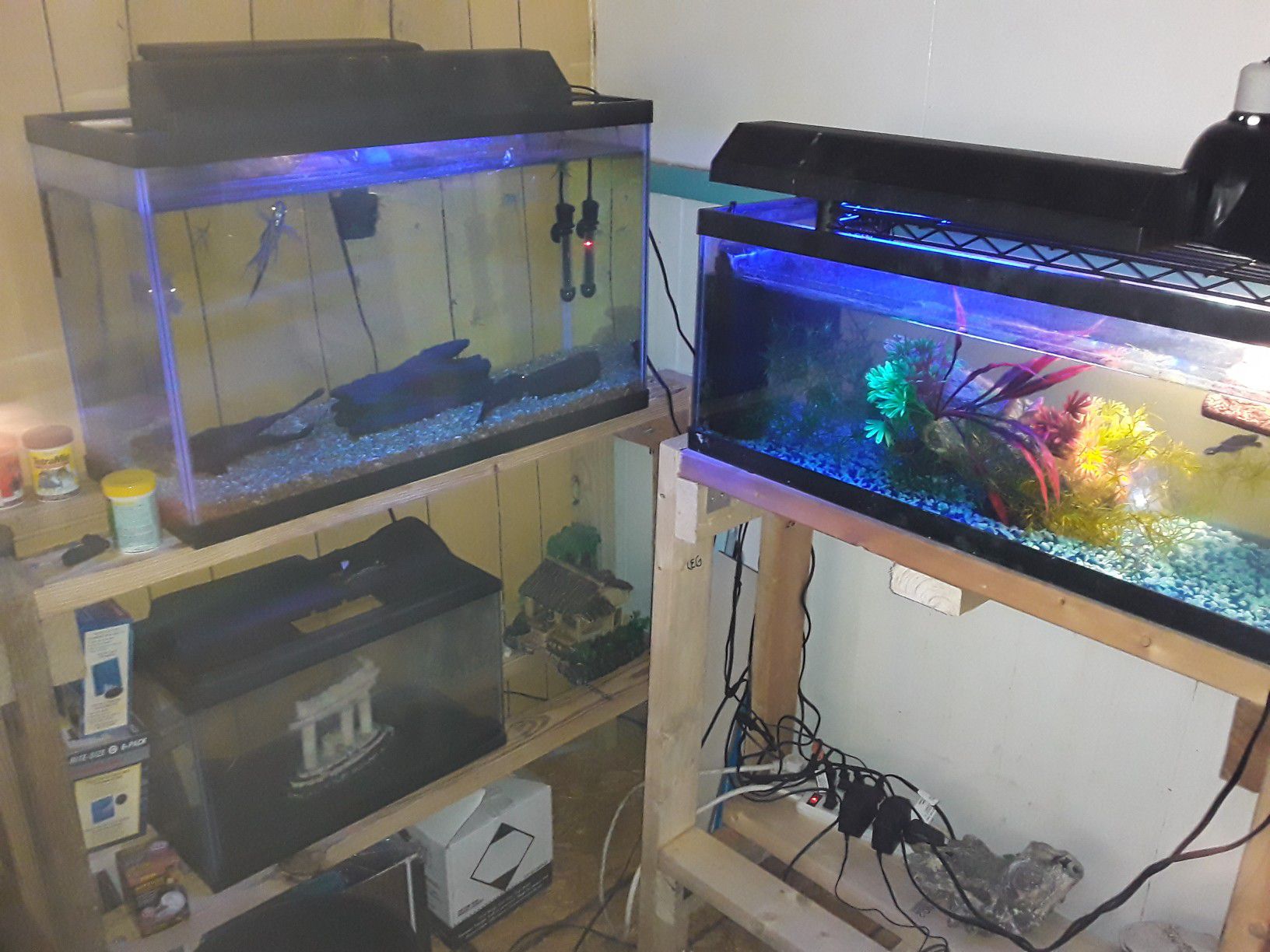 Many fish tanks and stands and a lot of supplies