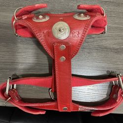 Large Dog Hardness 