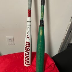 31 in Baseball Bats -5