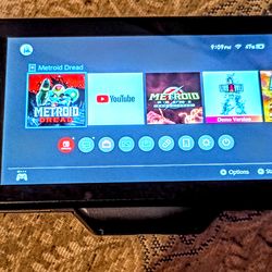 Nintendo Switch 1 portable pro gamepad