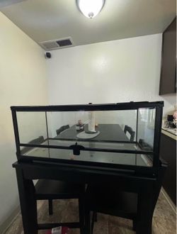 Reptile tank