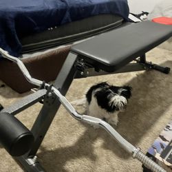 Finer Form Bench Press With Bar 