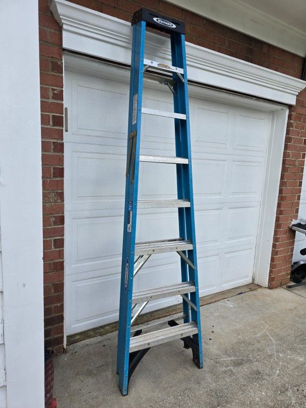8 FT Ladder 