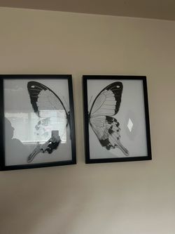 Mirror butterfly picture