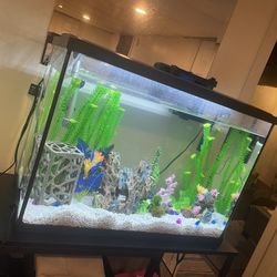 29 Gallon Fish Tank No Fish 