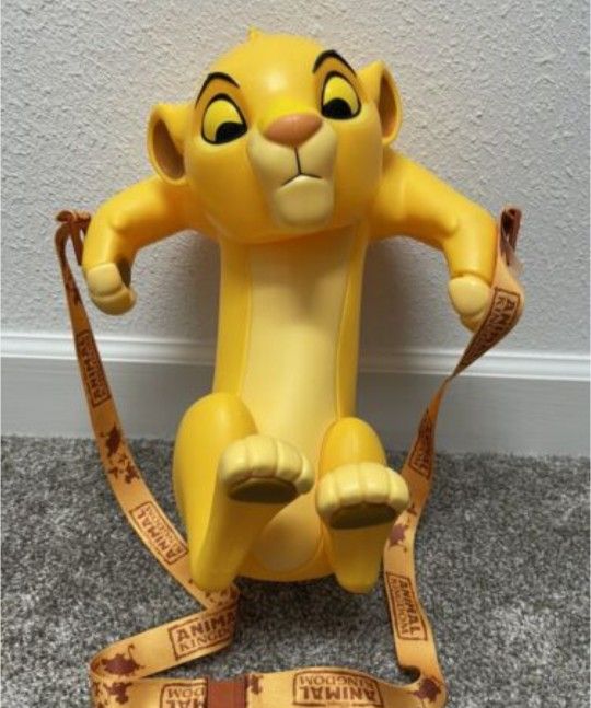 Disneyland Popcorn Bucket