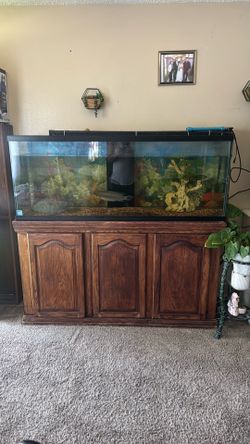 120 gallon fish tank