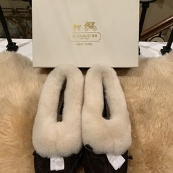 New in Box Coach Arleen Shearling Slippers