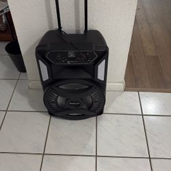 Professional Bluetooth Speaker 