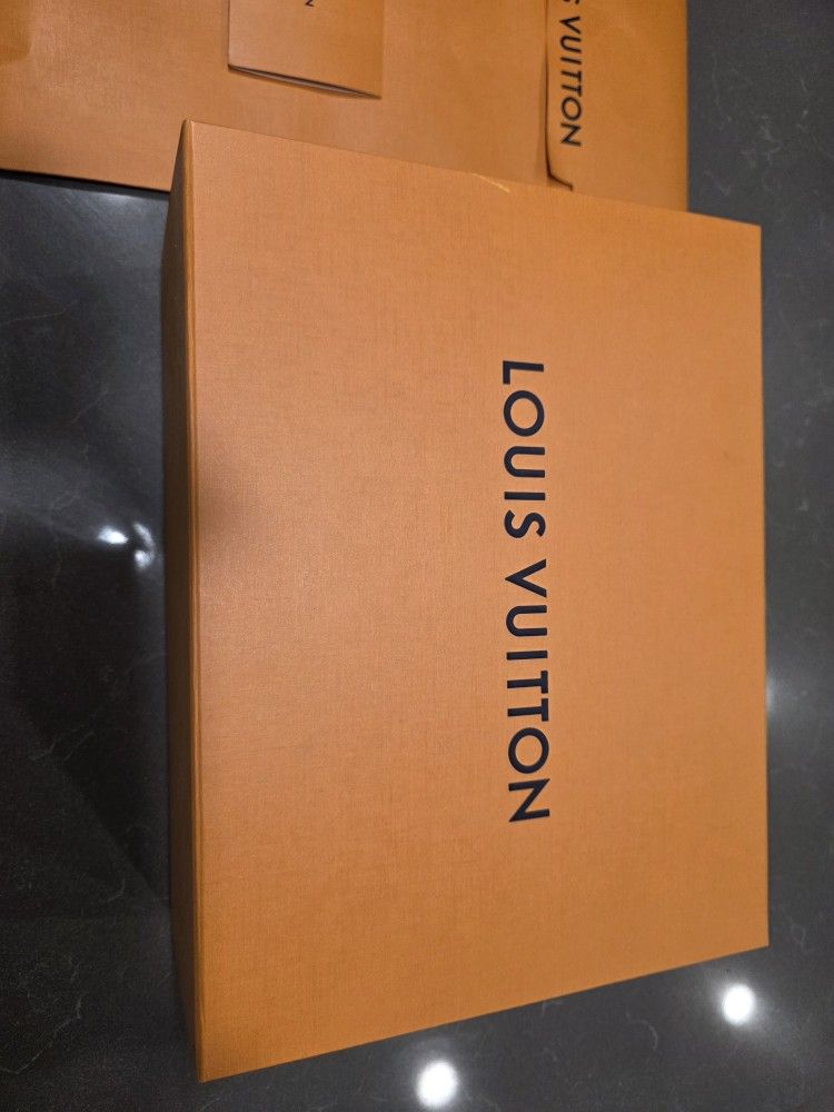 Louie Vuitton Slides