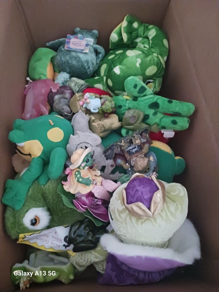 Box Of FROG collection