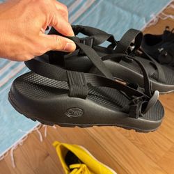 Brand New Mens Size 13 chacos 