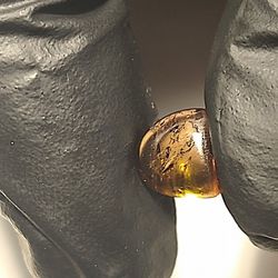 Pleochroic Tourmaline 