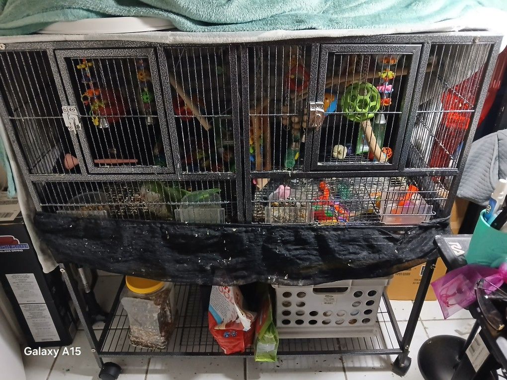 Bird Cage Birds