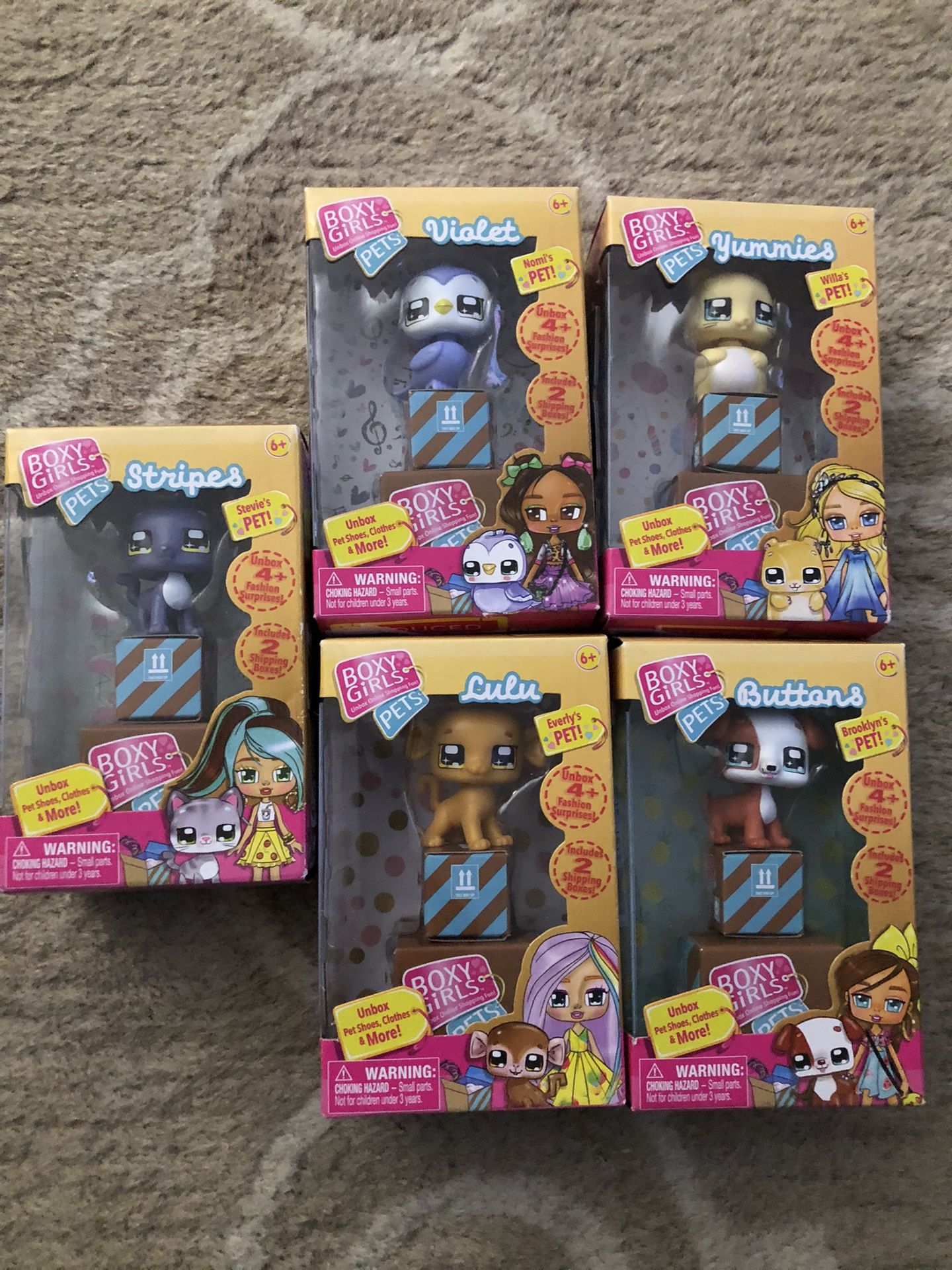 Boxy Girls Pets