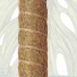 Moss Pole Stick Stack Potted Plants