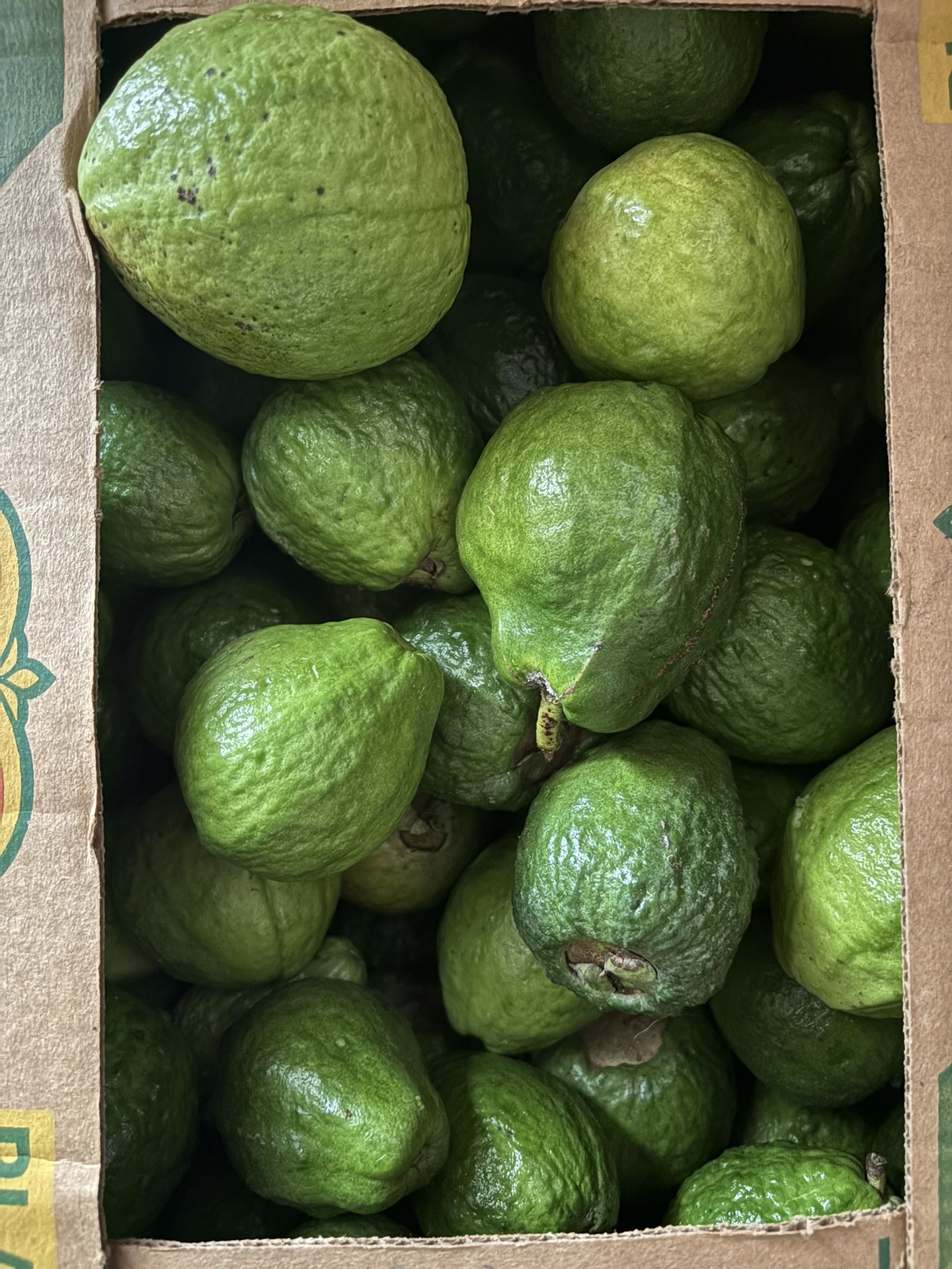 Guayaba Caja De 50 Libras $75