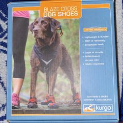 Dog shoes 