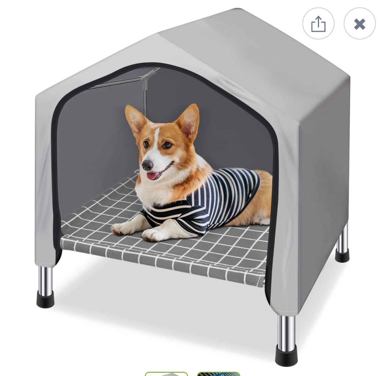 Dog House