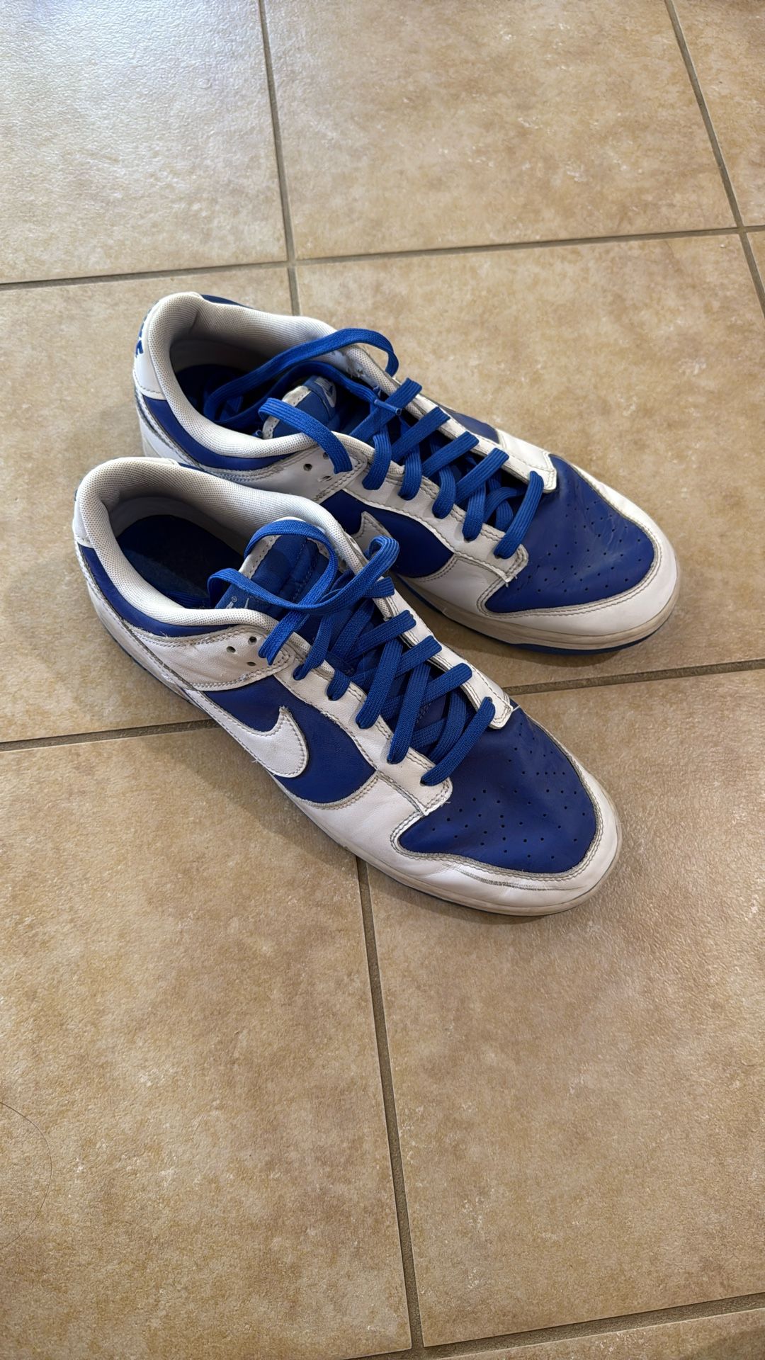 Nike Dunks