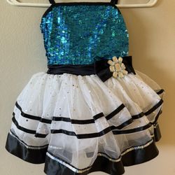 Ballerina Costume Size 3/4