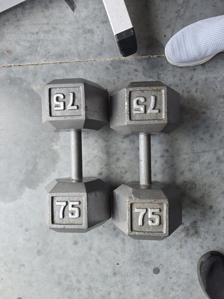 Weight Dumbbells