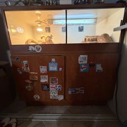Reptile Enclosure