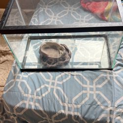 Lizard Cage For Sale 