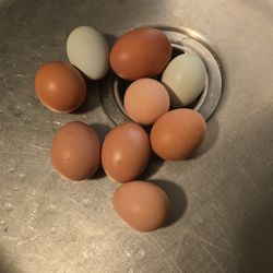 Fresh Organic Eggs - See Description 