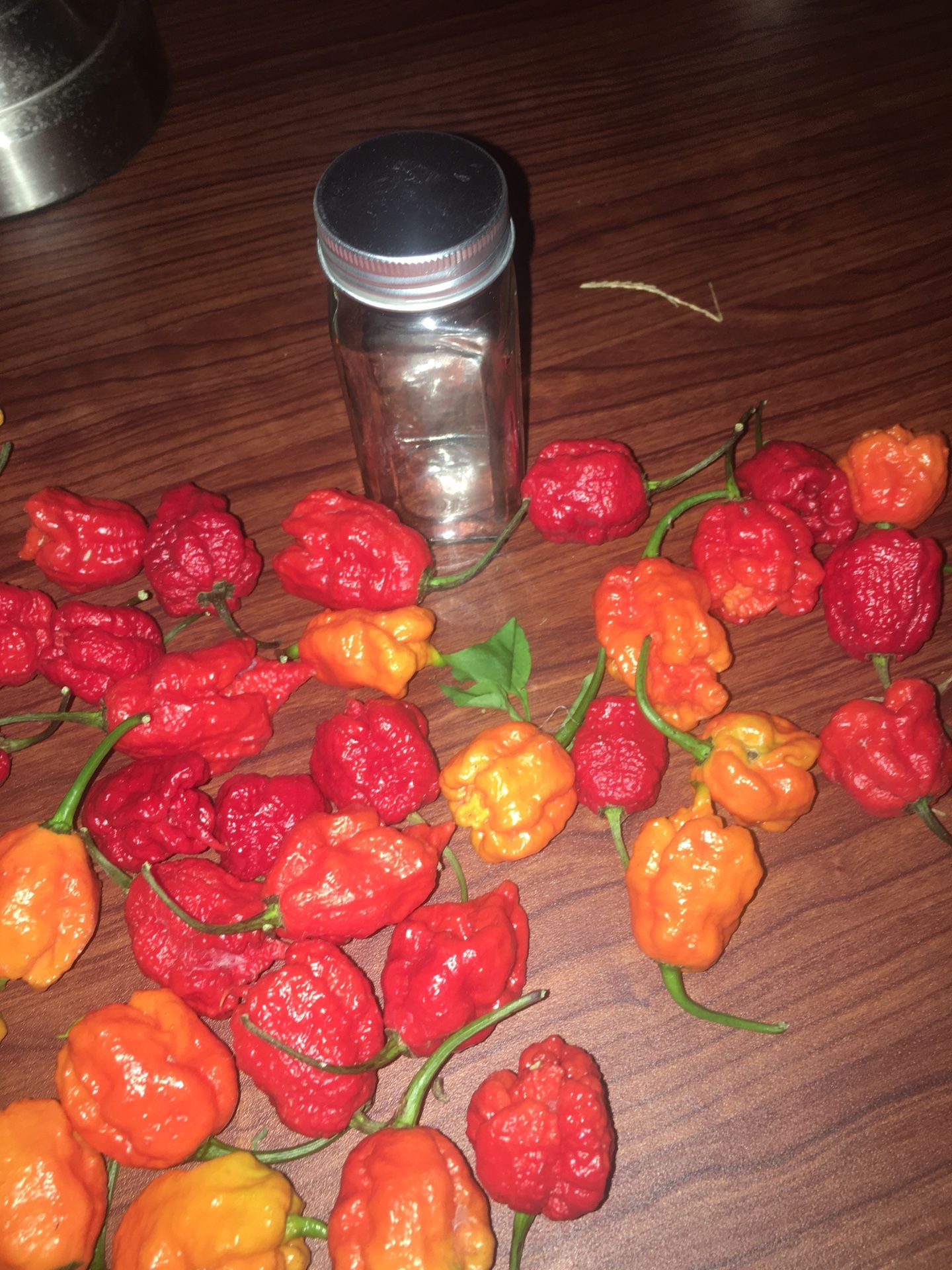 Carolina reaper pepper powder