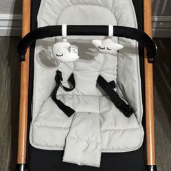 Baby Bouncer