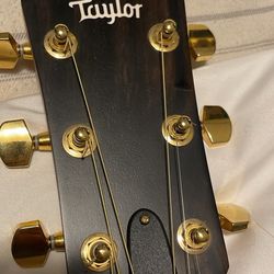 Taylor Acoustic/Electric