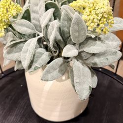 Kirkland Plant Decor ( About 10-11 Inches In Height ) 