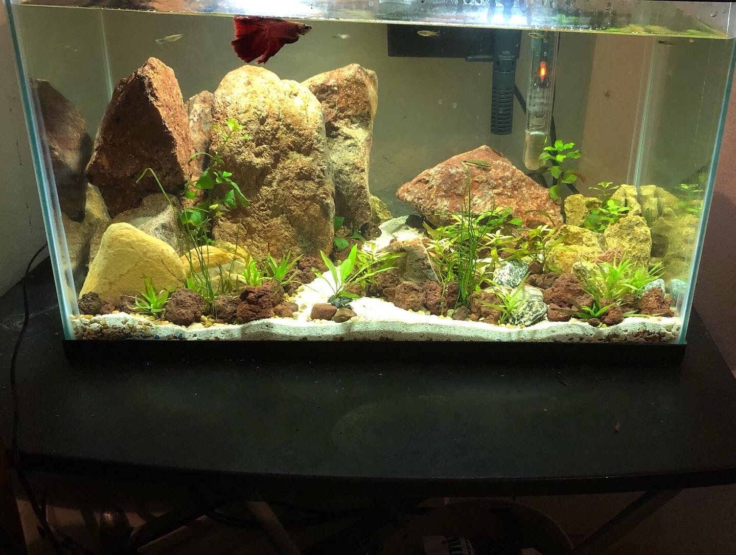 Custom Aquascapes! Custom Aquariums! Read Description Message For More