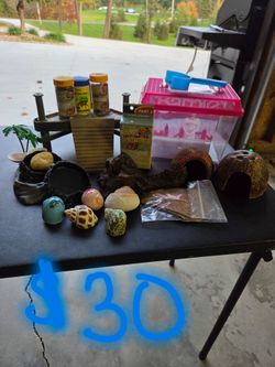 Hermit Crab Habitat Starter Kit Bundle