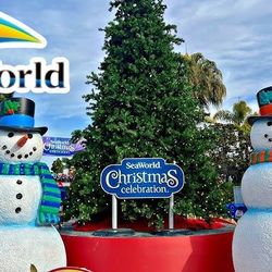 🎄🐬🎟️X8 SEAWORLD SANDIEGO 🎄🎁⏰