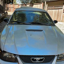 1999 Ford Mustang