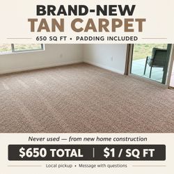 Carpet - new!