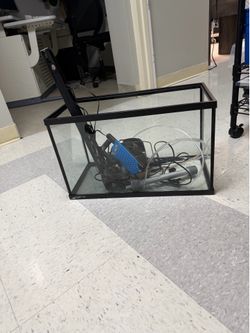 10 gallon tank