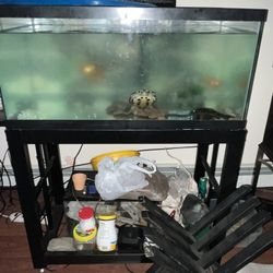 Fish Tank With Metal Stand- No Fish