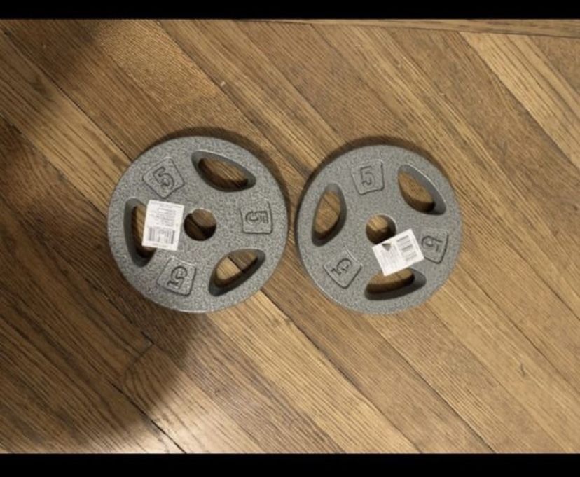 STANDARD weight plates 10 pounds total